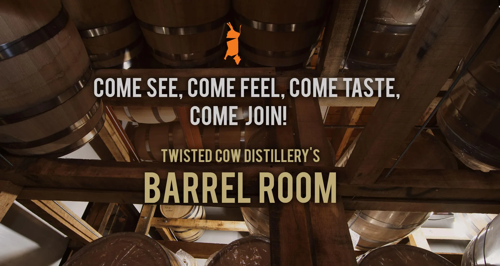 Twisted Cow Distillery's Barrel Room